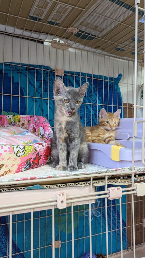 PXL_20250824_062805592