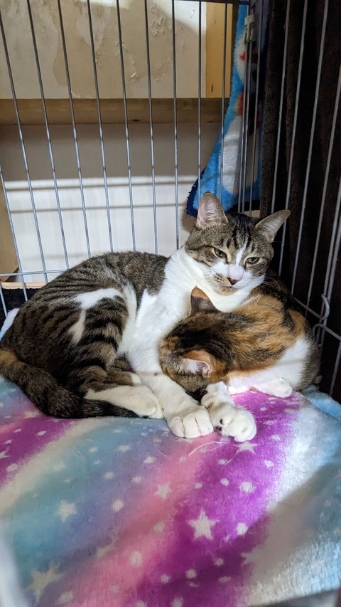 PXL_20221215_075550389