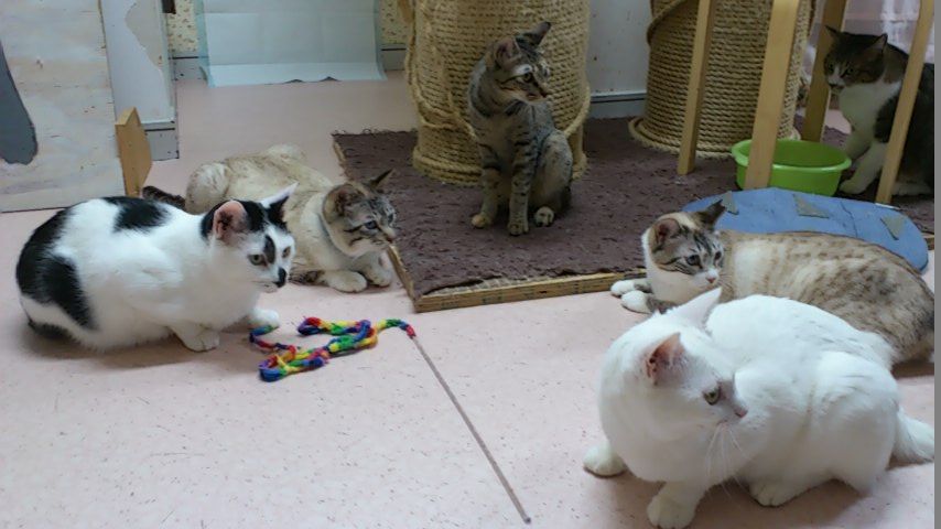 イメージ 6