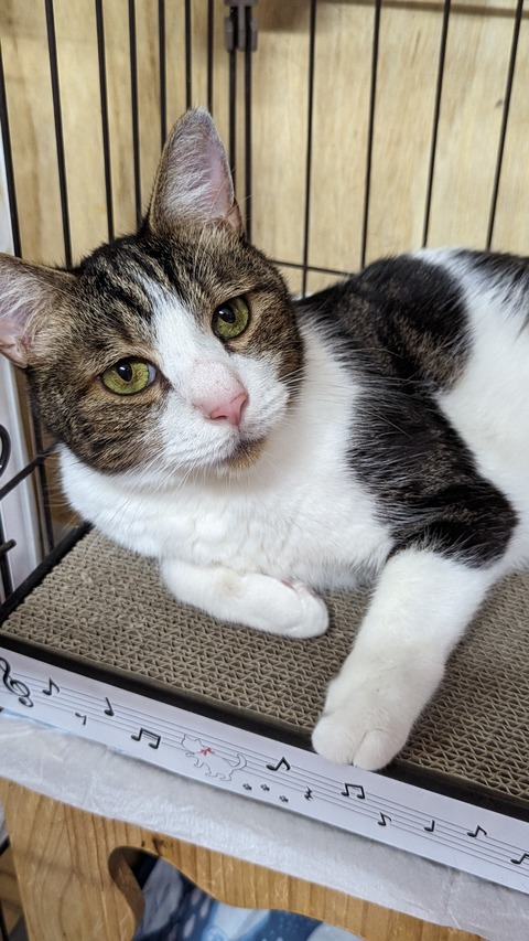 PXL_20230806_083642316