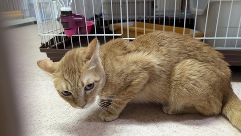 PXL_20241019_083324662