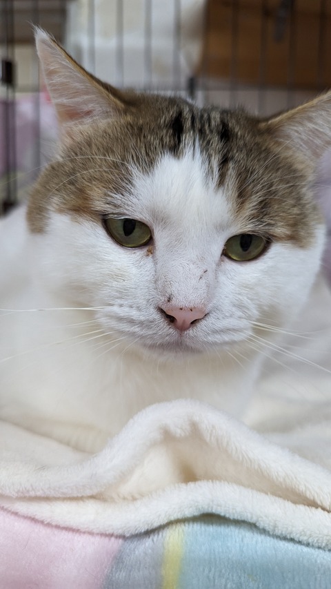 PXL_20231203_084504232