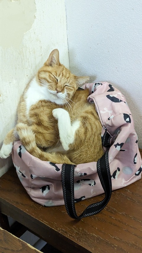 PXL_20240323_081535875~2