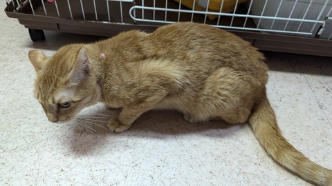 PXL_20241019_083316876