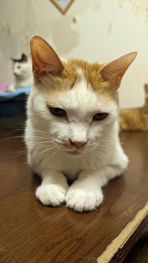 PXL_20230618_094536818