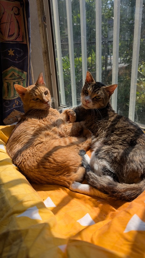 PXL_20250606_235701270