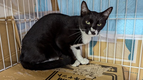 PXL_20241005_032226604