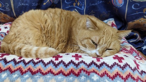 PXL_20231224_082558386