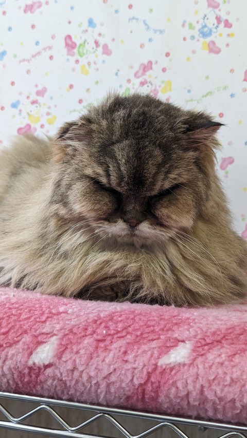 PXL_20240203_022912702