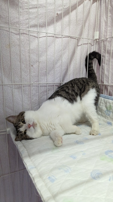 PXL_20230521_070102191