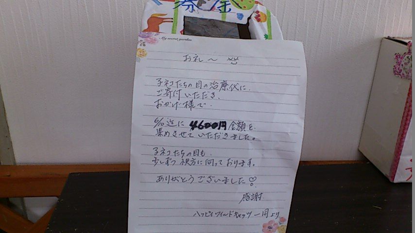 イメージ 6