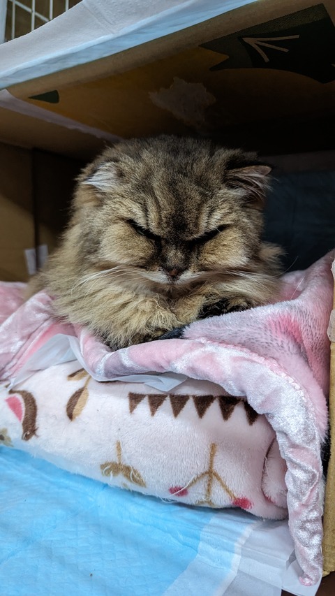 PXL_20231216_082209846