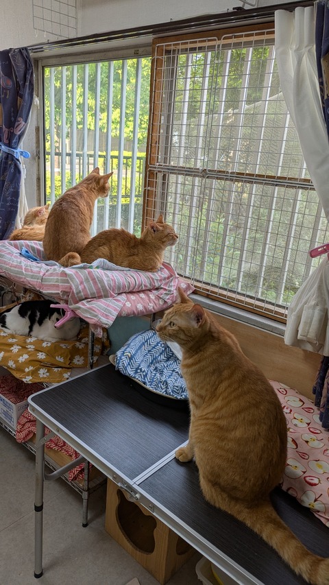 PXL_20250601_080033906