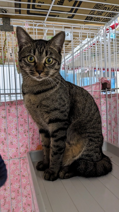 PXL_20231203_084931203