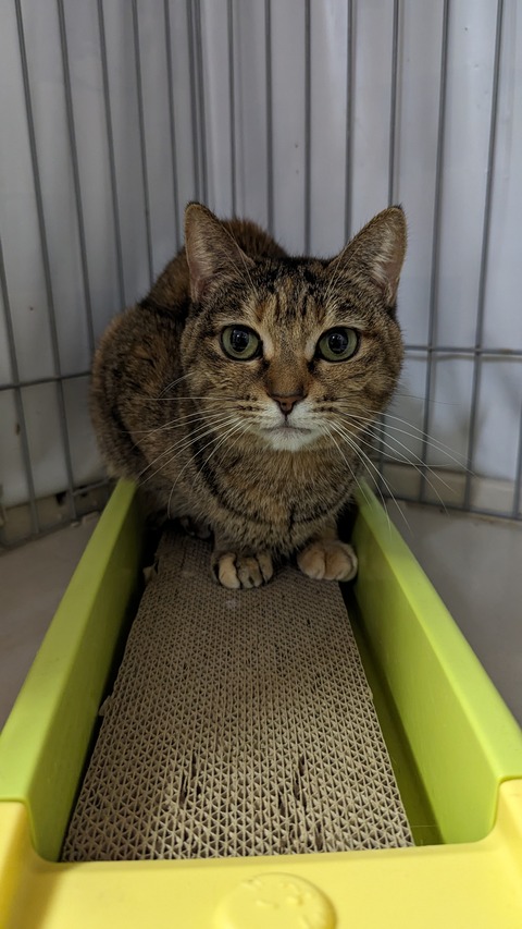 PXL_20240413_082042771