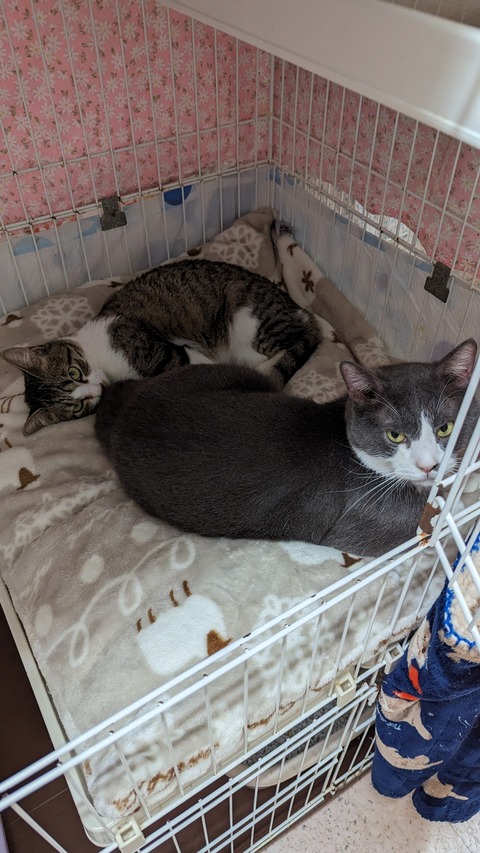 PXL_20231203_084859321