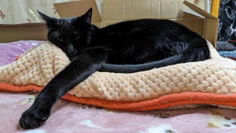 PXL_20231224_082535313