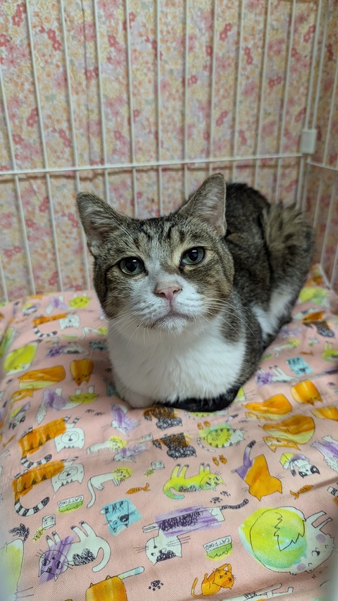 PXL_20241012_095629383