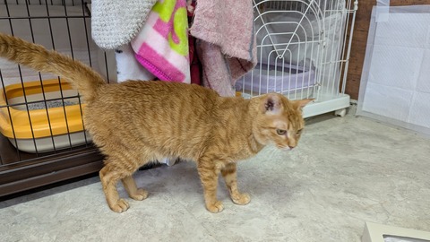 PXL_20250215_043535205