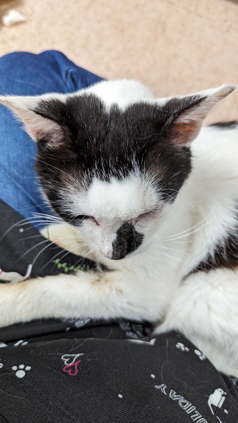 PXL_20240525_071737858