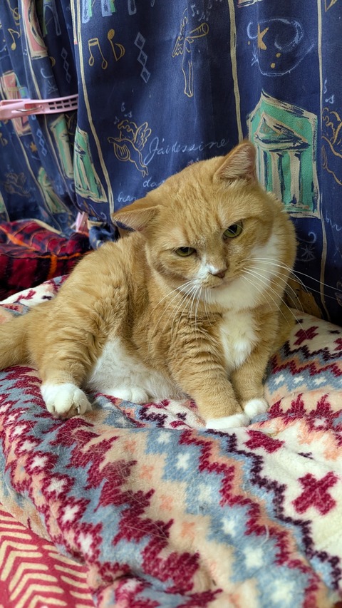 PXL_20241117_095503910