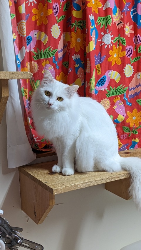 PXL_20231217_095601071