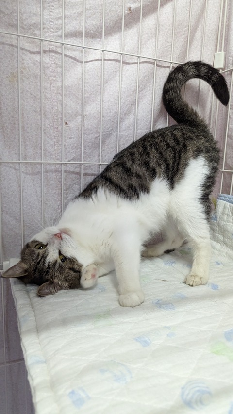 PXL_20230521_070100479