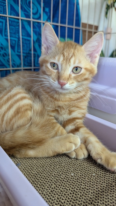 PXL_20250824_062706734