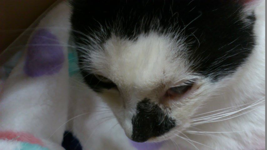 イメージ 13