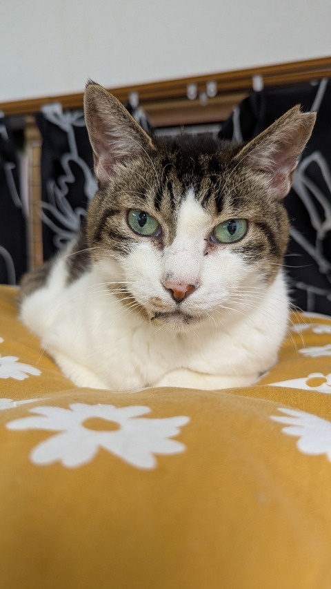 PXL_20250727_064754462