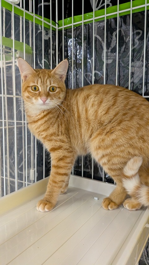 PXL_20251206_075714717