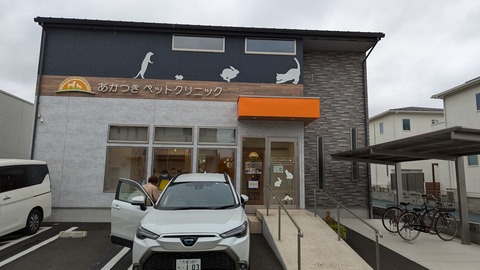 PXL_20241005_014212080