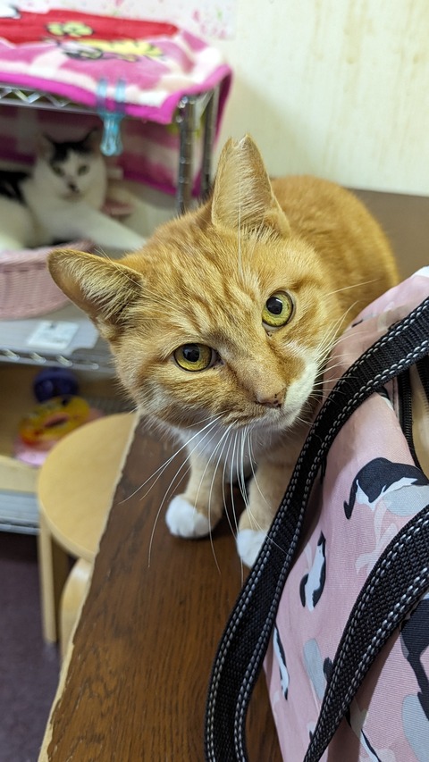 PXL_20231202_094833565