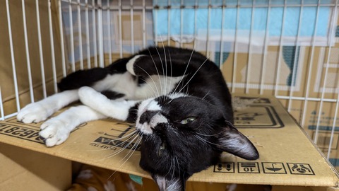 PXL_20241005_090342163