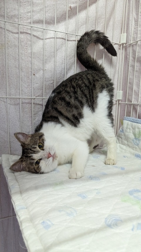 PXL_20230521_070058909