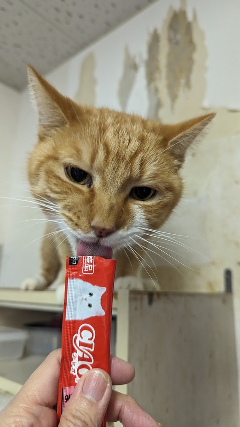 PXL_20240120_071525216