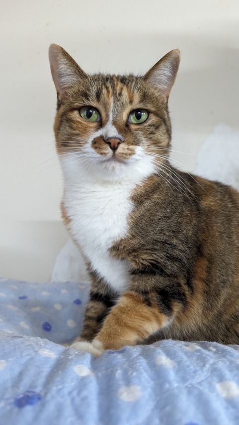 PXL_20221201_065925691