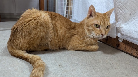 PXL_20250614_092618438