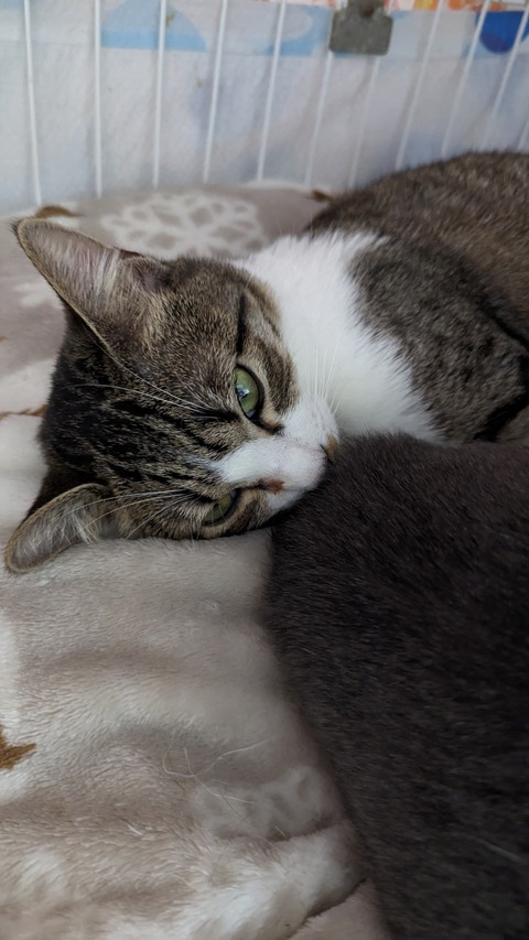 PXL_20231203_084926012