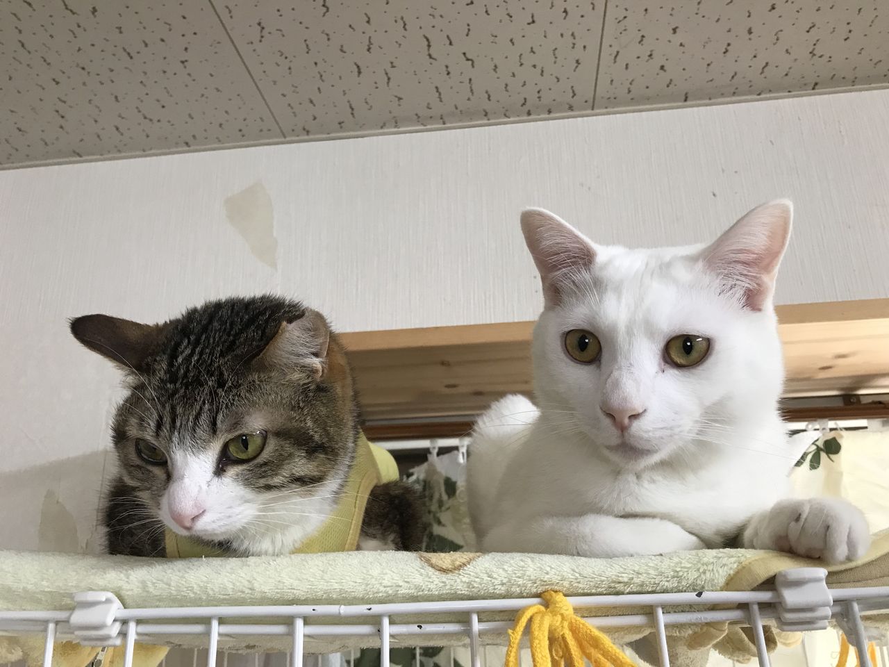 イメージ 3