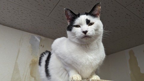 PXL_20240107_093458943