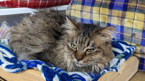 PXL_20221129_085114334