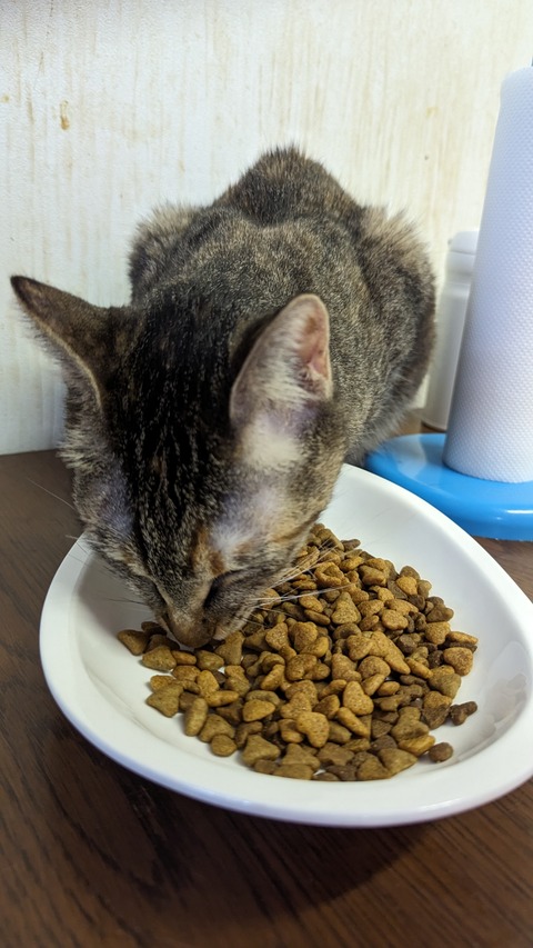 PXL_20230716_082007179