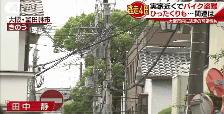 テレビ さや速