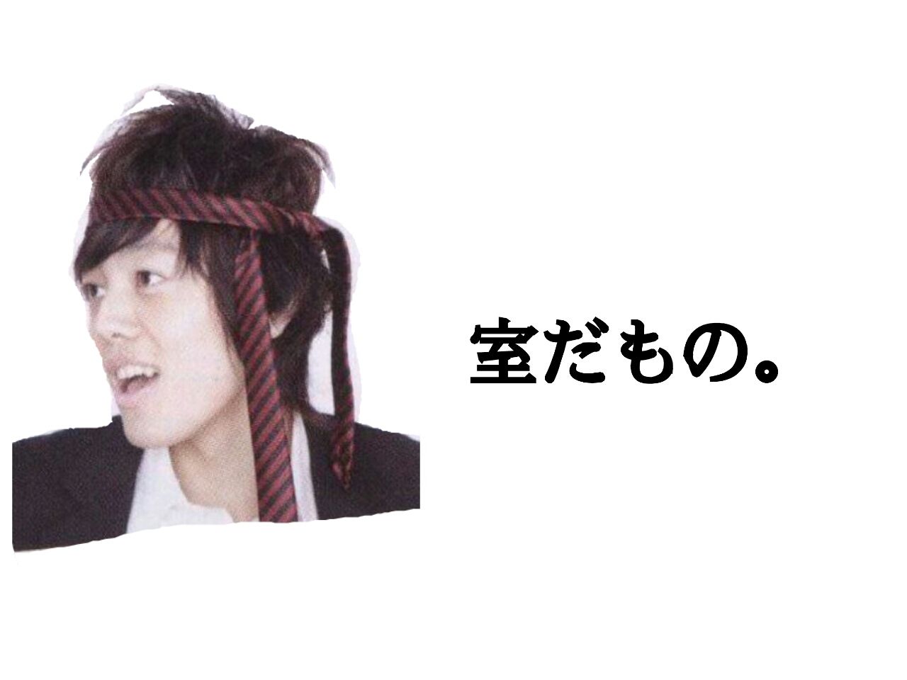 前の記事のちょっとした続きと室3兄弟 てすさんが夜なべしてブログ