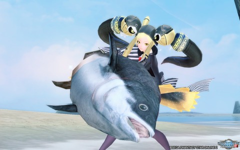 pso20191227_205842_097