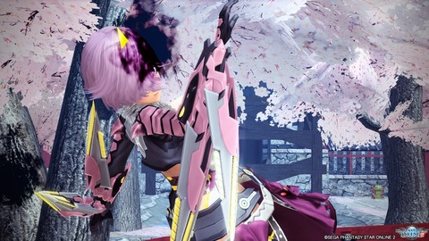 pso20191120_234536_682