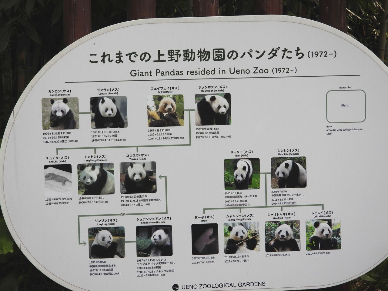 動物園 : ばーどらんど