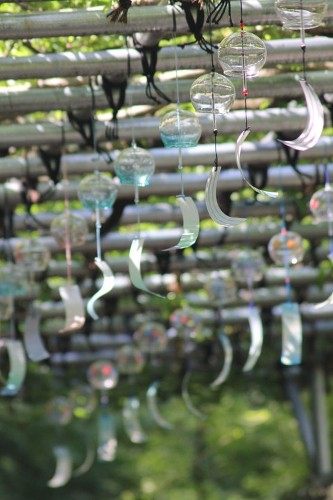 furin2