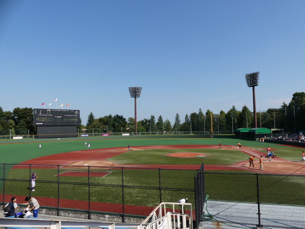 女子プロ野球 場外編 サヨナラヒットの野球ブログ 1 過去記事編 女子プロ野球 場外編 サヨナラヒットの野球ブログ 1 過去記事編